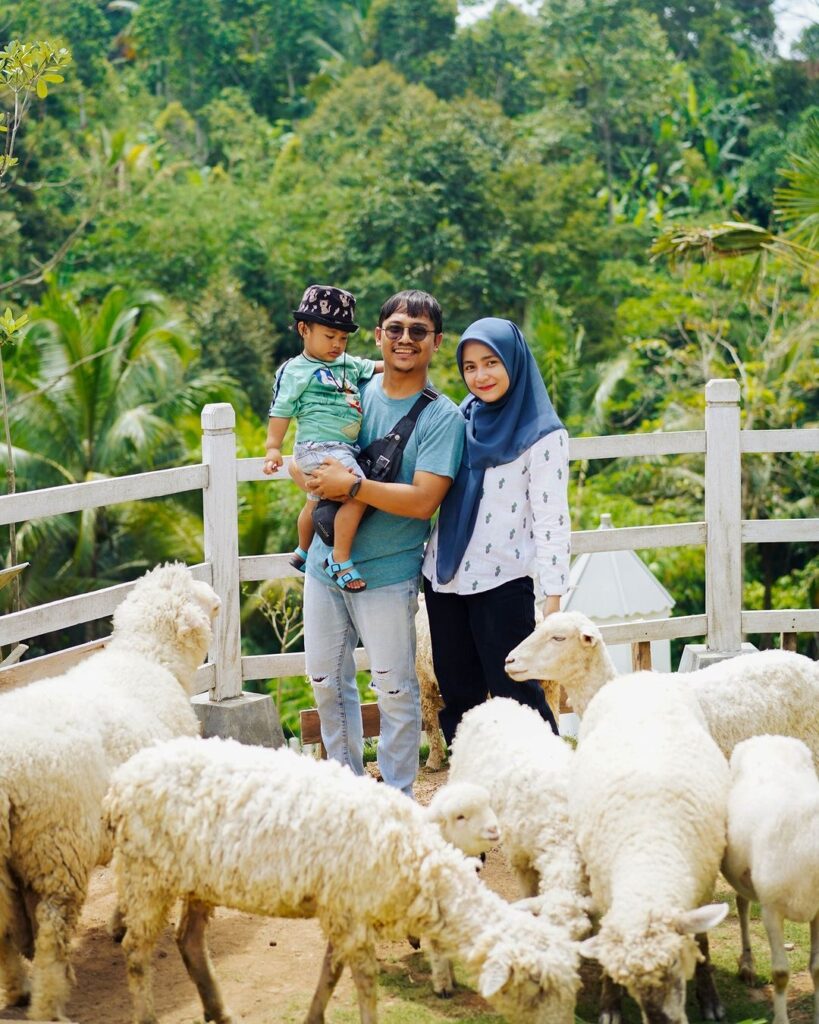 Wisata Farm Day Lampung